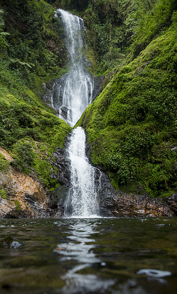 Nature, Water, Rivers, Waterfall, Greens, Moss HD phone wallpaper