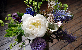 Flowers, Bouquet, Pion, Peony, Scabiosa Stellate, Star-Studded Scabis HD wallpaper