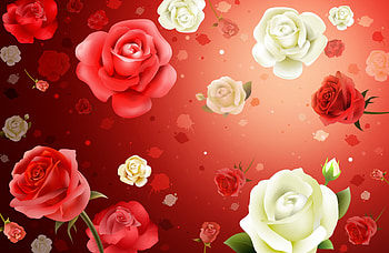 Flowers, Background, Roses, Texture, Textures HD wallpaper