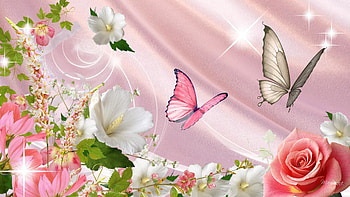 Butterflies and Flowers - afari HD wallpaper