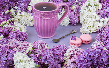 Still life, Flowers, Lilacs, Branch, Macaroon HD wallpaper