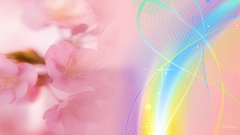 Color Streak Cherry Blossoms, abstract, sakura, flowers, blooms, abtract, cherry blossoms HD wallpaper