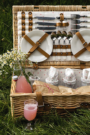 Picnic ing ideas, Picnic time HD phone wallpaper