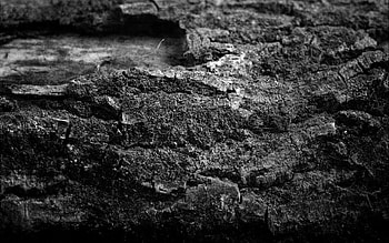 Nature, Stones, Texture, Wall, Black And White HD wallpaper