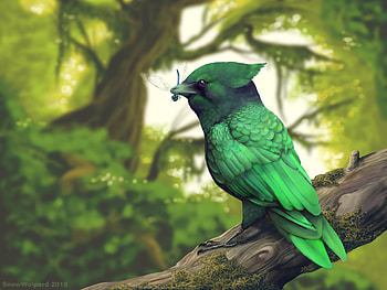 Bird Eating Insects, artist, artwork, birds, animals HD wallpaper