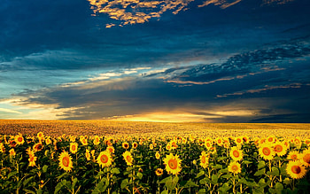 Ukraine , Breathtaking scenery, Inspiring visuals, Travel inspiration HD wallpaper