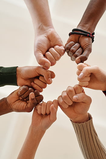 Hands of diverse people fist bumping, symbolizing unity and teamwork. HD phone wallpaper