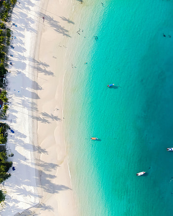 Nature, Sea, Beach, Palms, Boats, View From Above, Coast HD phone wallpaper