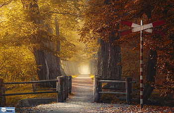 Netherlands, , windows HD wallpaper