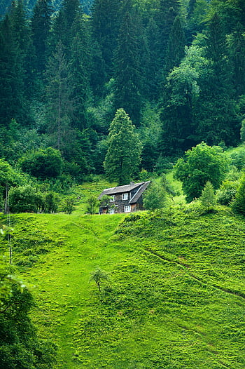 A scenic view of a quaint wooden house nestled amidst lush greenery in Ukraine's countryside. HD phone wallpaper