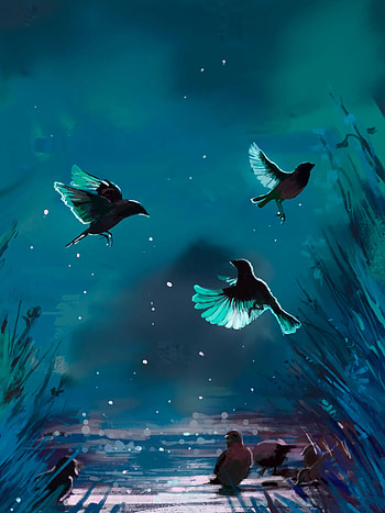 Birds, Art, Night HD phone wallpaper