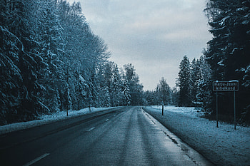 Winter, Nature, Trees, Road, Turn HD wallpaper