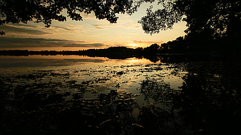 Nature, Rivers, Sunset, Bush, Branch HD wallpaper