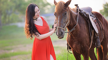 Cowgirl, animal, girl, Horse, asian HD wallpaper