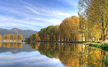 Nature, Rivers, Trees, Autumn HD wallpaper