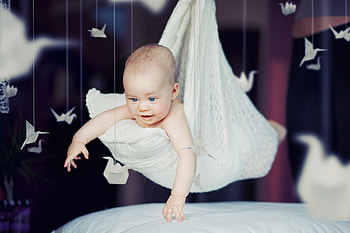 Baby delivery, bird, delivery, cute, baby, paper, stork, copil, origami, creative, fantasy, funny, child HD wallpaper