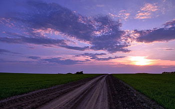 Nature, Clouds, Horizon, Road, Field, Evening, Country, Countryside HD wallpaper