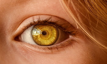 Detailed close-up of a human eye with a unique golden iris and spiral light reflection. HD wallpaper