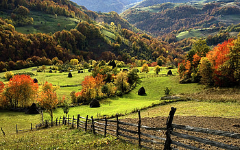 Savkovic M. Jeremic, jeremic, nature, field, savkovic HD wallpaper