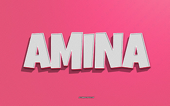 Amina, pink lines background, with names, Amina name, female names, Amina greeting card, line art, with Amina name HD wallpaper