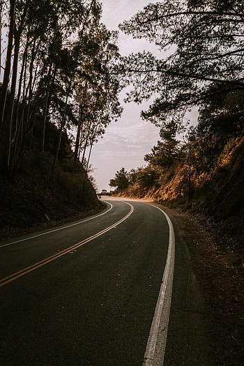Nature, Trees, Road, Turn, Hills HD phone wallpaper