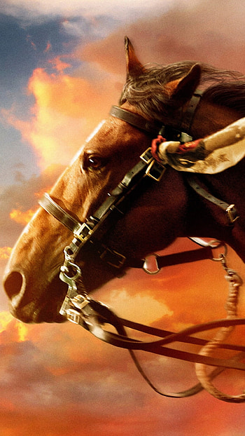 War Horse, Majestic animal, Noble creature, Striking visuals HD phone wallpaper