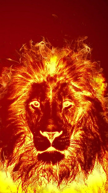 Fire Lion, Leo, Animal HD phone wallpaper