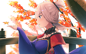 Hot, anime girl, Fate series, Musashi Miyamoto HD wallpaper