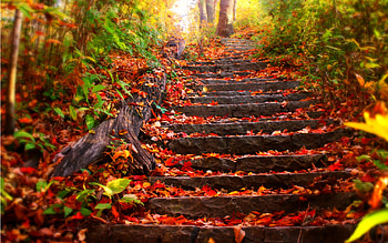 autumn . Â«Â« HD wallpaper