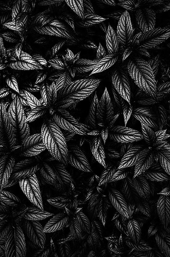 Matte Black, Matte black background , Sun HD phone wallpaper
