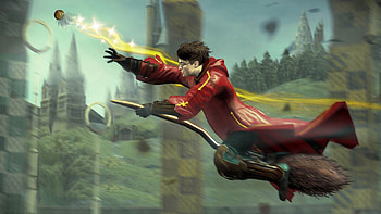 Harry Potter, Quidditch , Magical adventure, Chasing the snitch HD wallpaper