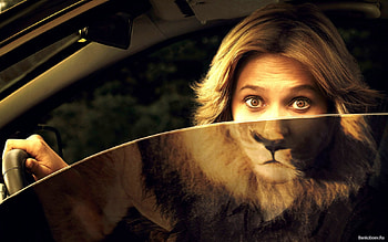 come here boy, i'll eat you for diner, 08, 09, lion, 2011 HD wallpaper