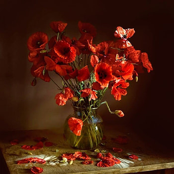Poppies, Flowers, Vase, Red HD wallpaper
