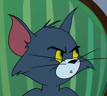 Tom And Jerry Funny, Tom and Jerry Memes HD wallpaper