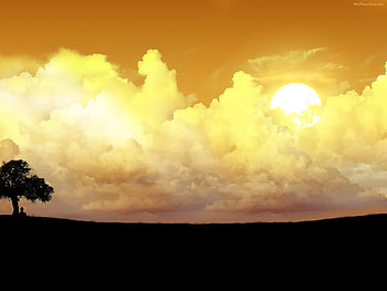 Sunset fantasy, fantasy, silhouette, sunset, cloud, tree HD wallpaper