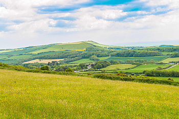 Nature, Trees, Grass, Sky, Field, Hill HD wallpaper