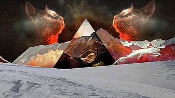 General cat nature snow polyscape mountains triangle digital art HD wallpaper