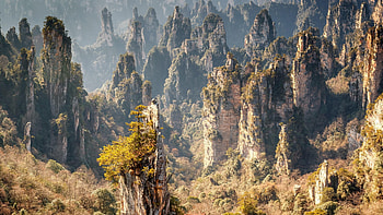 Zhangjiajie, Movie location, Stone forest, National forest HD wallpaper