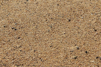 Detailed close-up of sandy beach surface displaying texture and tiny pebbles. HD wallpaper
