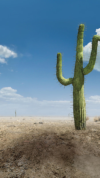 Rango (2022) movie HD phone wallpaper