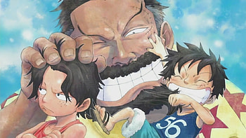 one piece, pirate king, luffy, monkey d luffy, anime, rubber man, ace HD wallpaper