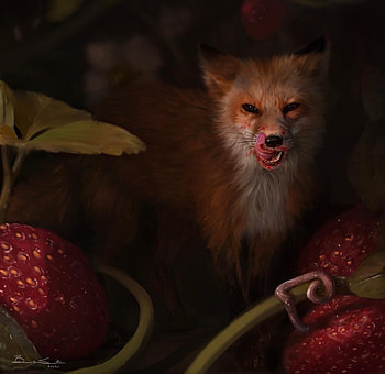 Delicious strawberries, art, red, vulpe, fox, dark, animal, strawberry, brooklyn smith, fantasy, fruit, tongue HD wallpaper