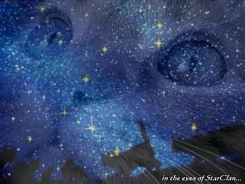 Silverpelt, cat, abstract, fantasy, star clan HD wallpaper