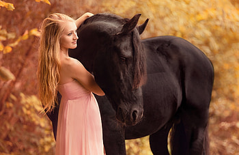 :), blonde, pink, horse, cal, girl, woman HD wallpaper