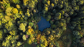 Nature, Water, Trees, Autumn, View From Above, Lake, Forest HD wallpaper