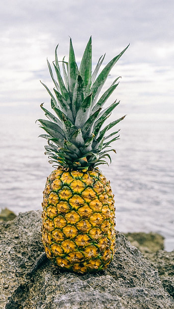 Top 20 pineapple backgrounds, Tropical , Fresh and juicy, Exotic fruit HD phone wallpaper