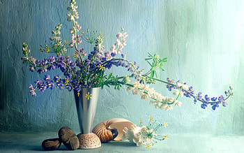 Lupines, Ikebana HD wallpaper