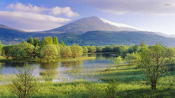 River in the Mountain, river, grass, mountain, daylight, day, reflection, clouds, trees, nature, sky, water, weed HD wallpaper