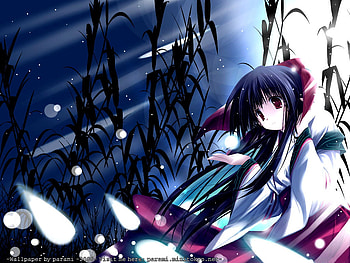 Anime cutie, night, cute, anime, light HD wallpaper