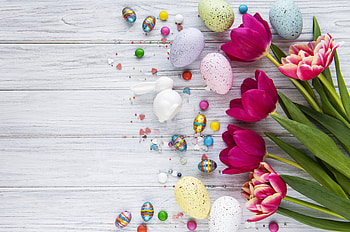 Easter Splendor: Holiday Eggs & Tulips Celebration, easter egg, holiday, Easter HD wallpaper